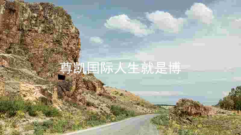 尊凯国际人生就是博