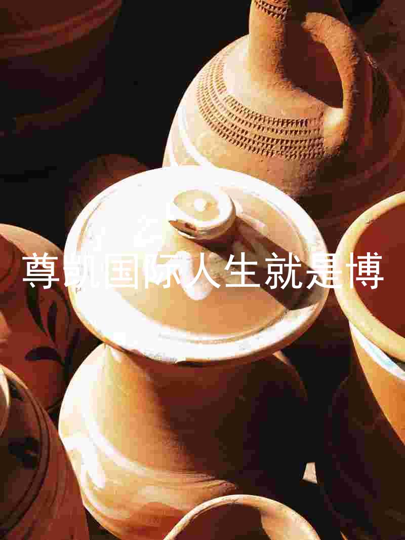 尊凯国际人生就是博