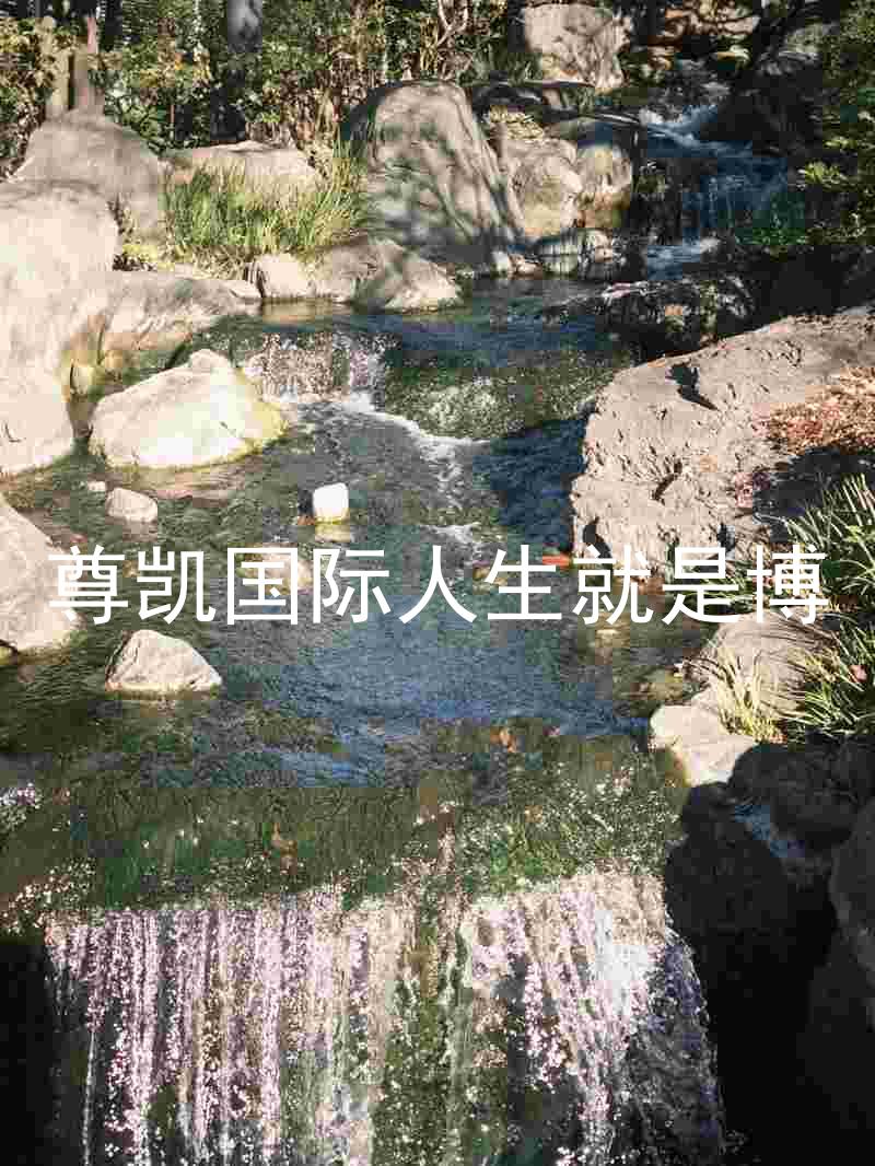 尊凯国际人生就是博
