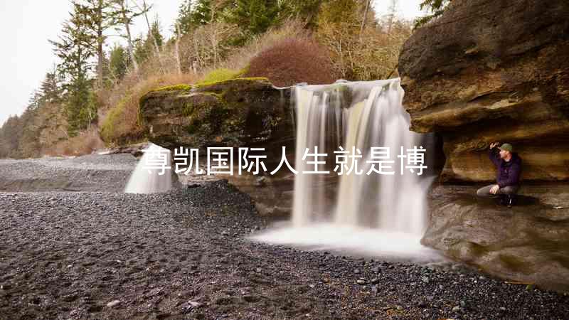 尊凯国际人生就是博