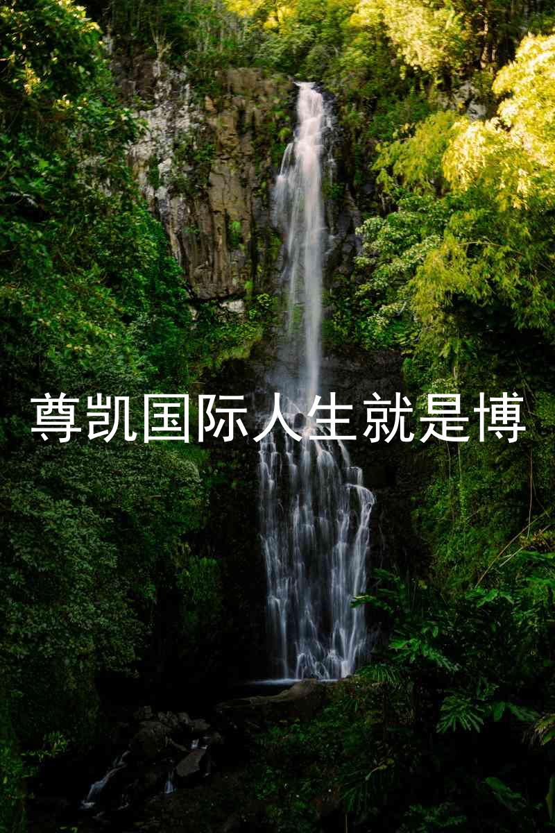 尊凯国际人生就是博