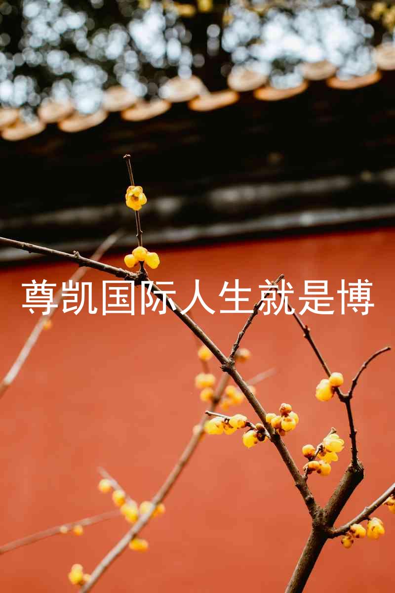 尊凯国际人生就是博